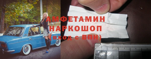 молекула духа Богданович