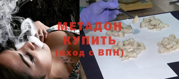 молекула духа Богданович