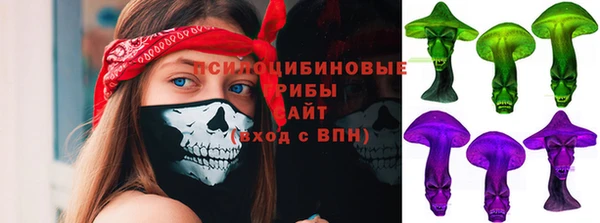 первитин Богородск