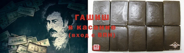 молекула духа Богданович