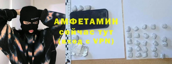 молекула духа Богданович