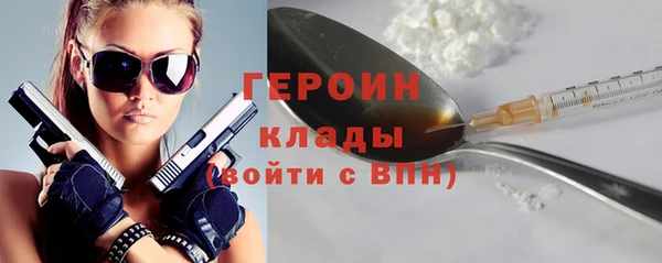молекула духа Богданович