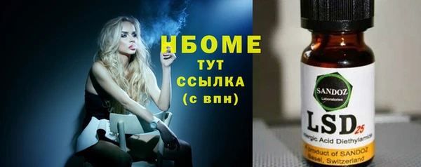 молекула духа Богданович