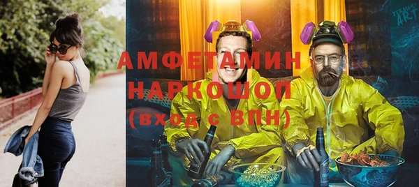 молекула духа Богданович