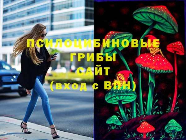 марки nbome Богородицк
