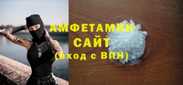 молекула духа Богданович