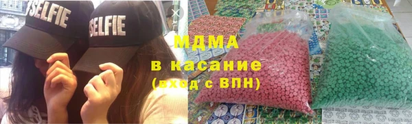 молекула духа Богданович